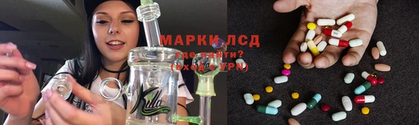 PSILOCYBIN Инта